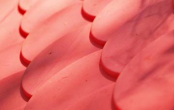 Burgh Common plastic roof costs